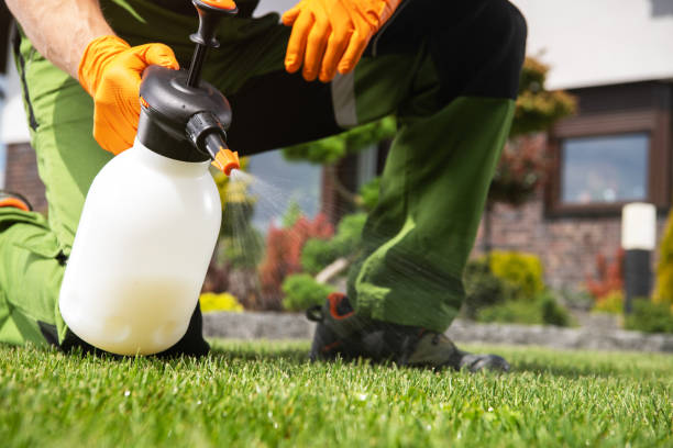Best Ant Control Services  in Marion, IN