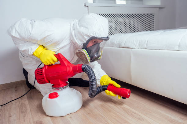 Best Wasp Removal Services  in Marion, IN
