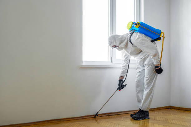 Best Cockroach Control Services  in Marion, IN