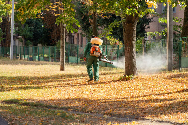 Best Affordable Pest Control Services  in Marion, IN